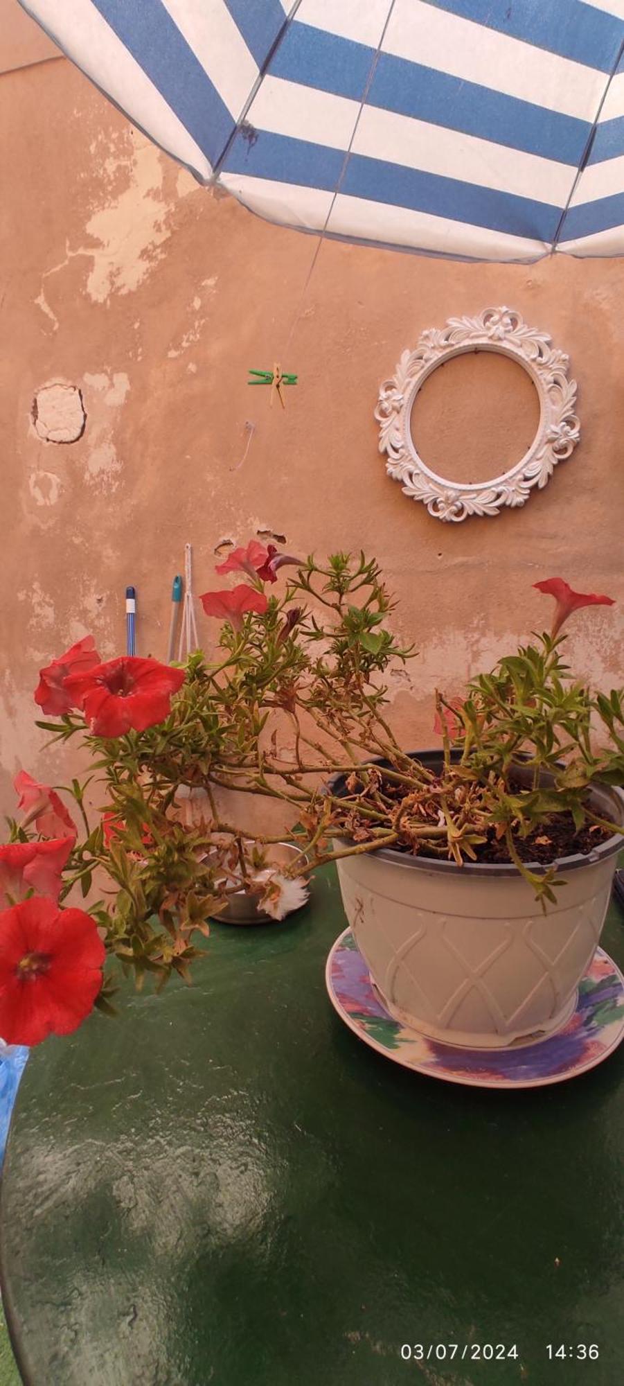 Casa Di Mare Daire Korfu Dış mekan fotoğraf